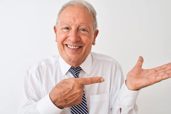 Senior Hombre Negocios Pelo Gris Con Corbata Pie Sobre Fondo —  Fotos de Stock