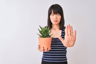 Genç güzel Çinli kadın ciddi ve kendinden emin ifade, savunma jesti ile durdurmak işareti yapıyor açık el ile izole beyaz arka plan üzerinde kaktüs pot tutan