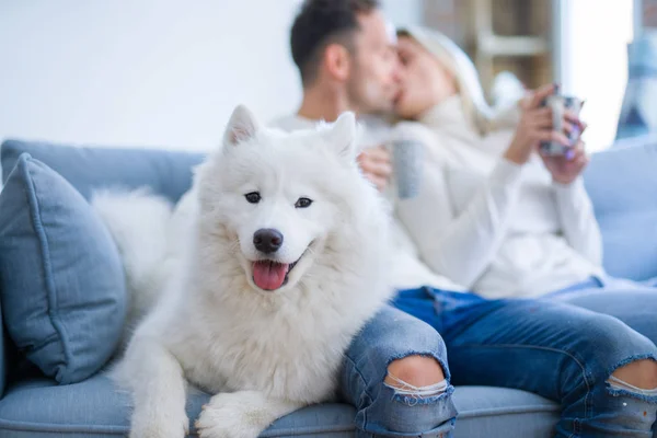 Jovem Casal Bonito Com Cão Sentado Sofá Bebendo Café Nova — Fotografia de Stock