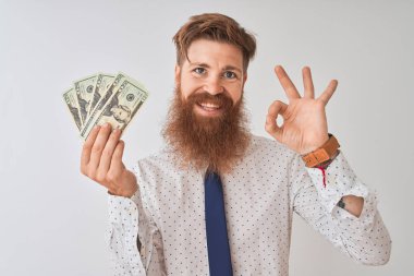 Genç kızıl İrlandalı işadamı parmakları, mükemmel sembolü ile ok işareti yapıyor izole beyaz arka plan üzerinde duran dolar tutan