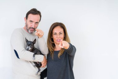 Orta yaş çift kamera ve size parmak ile işaret izole arka plan üzerinde küçük chihuahua tutan, el işareti, önden olumlu ve kendinden emin jest