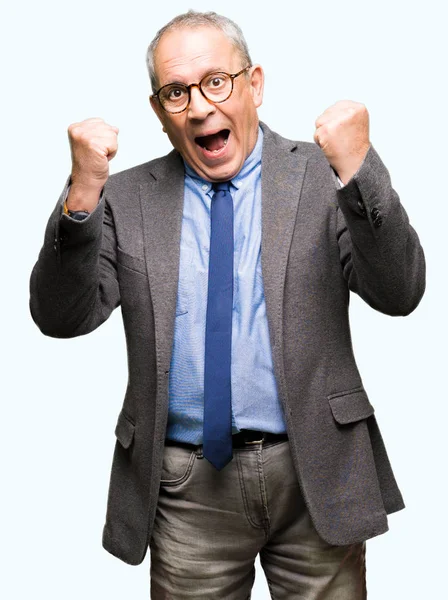 Handsome Senior Businesss Man Wearing Glasses Tie Celebrating Surprised Amazed — Stock Photo, Image