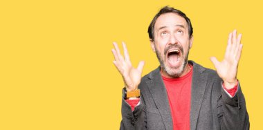 Orta yaş yakışıklı iş adamı deli ve silah ile başarı için deli kutluyor kaldırdı ve heyecanlı çığlık gözler kapalı. Kazanan kavramı