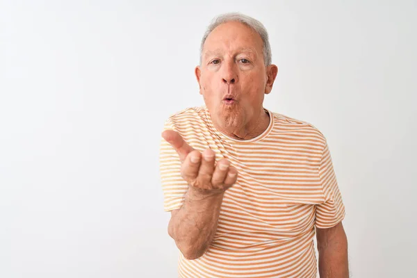 Senior Grijsharige Man Met Gestreept Shirt Geïsoleerde Witte Achtergrond Kijkend — Stockfoto