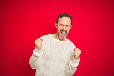 Yakışıklı, orta yaşlı, gri saçlı, izole edilmiş kırmızı arka planı olan çok mutlu ve heyecanlı bir adam. Kolları havada, gülümseyen ve başarı için çığlık atan, kazanan bir jest yapıyor. Kutlama konsepti.