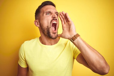 Sarı arka plan üzerine sıradan sarı tişört giyen genç yakışıklı adam el ele tutuşarak bağırıyor ve bağırıyor. İletişim konsepti.