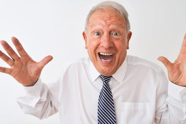 Senior Uomo Affari Dai Capelli Grigi Indossa Cravatta Piedi Sfondo — Foto Stock