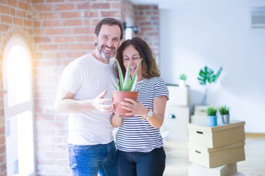Yeni bir eve taşımak için mutlu gülümseyen Aloe Vera bitki tutan orta yaş kıdemli romantik çift
