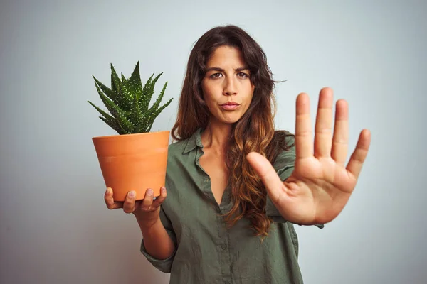 Giovane Bella Donna Che Tiene Vaso Cactus Sfondo Bianco Isolato — Foto Stock