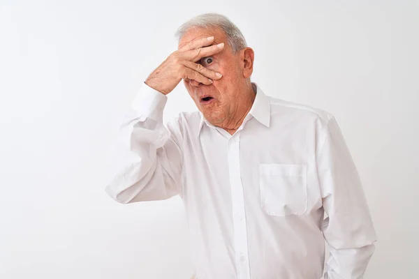 Yaşlı Gri Saçlı Zarif Gömlekli Soyutlanmış Beyaz Arka Planda Duran — Stok fotoğraf