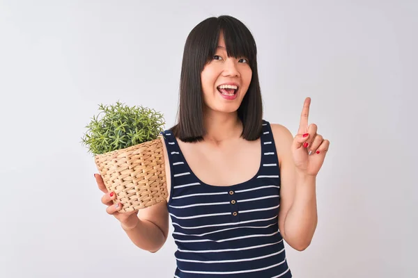 Young beautiful Chinese woman holding plant pot standing over isolated white background surprised with an idea or question pointing finger with happy face, number one