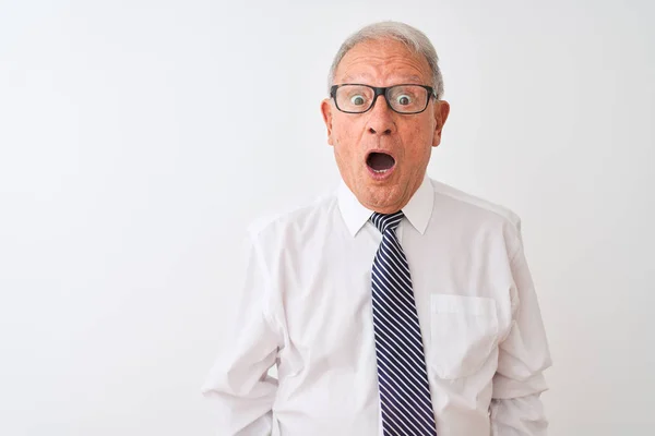 Senior Hombre Negocios Pelo Gris Con Corbata Gafas Sobre Fondo — Foto de Stock