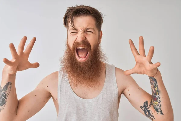 Young Redhead Irish Man Wearing Shirt Standing Isolated Grey Background — Stock Photo, Image