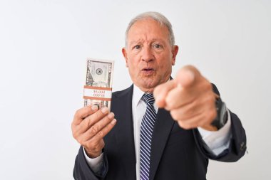 Kıdemli gri saçlı iş adamı izole edilmiş beyaz arka planda dolar tutarken kamerayı işaret ediyor ve sen, el işareti, ön taraftan pozitif ve kendinden emin bir hareket.