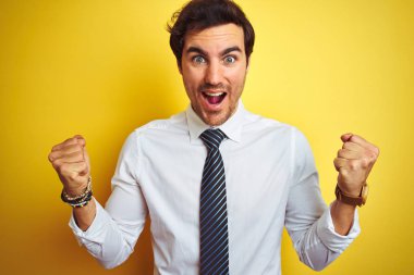 Zarif gömlek ve kravat takan genç yakışıklı işadamı, izole edilmiş sarı arka planda şaşırmış ve şaşırmış bir şekilde kollarını kaldırıp, gözlerini açarak başarıyı kutluyor. Kazanan konsept.