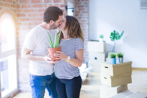 Romantisches Paar mittleren Alters mit Aloe Vera Pflanze Smilin — Stockfoto