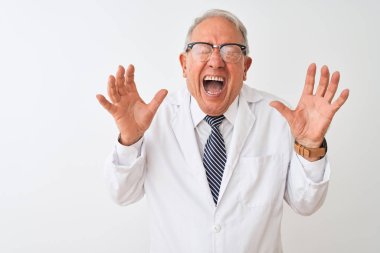 Kır saçlı kıdemli bilim adamı izole edilmiş beyaz arka planda duran ceketli çılgın ve başarıyı kollarını kaldırmış ve gözleri kapalı heyecanla haykırarak kutluyor. Kazanan konsept