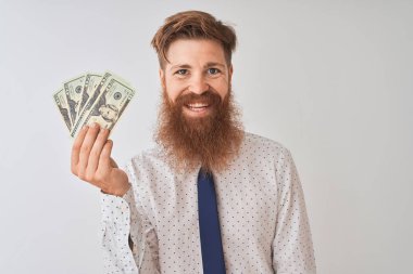 Genç kızıl saçlı İrlandalı işadamı, izole edilmiş beyaz arka planda dolarlar tutuyor. Mutlu bir yüzü var. Kendine güvenen bir gülümsemeyle dişlerini gösteriyor.