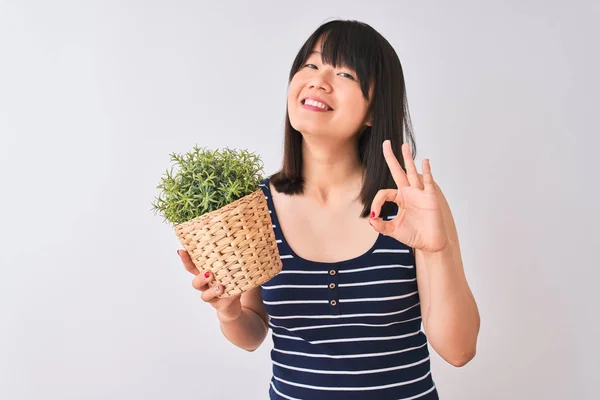 Young beautiful Chinese woman holding plant pot standing over isolated white background doing ok sign with fingers, excellent symbol