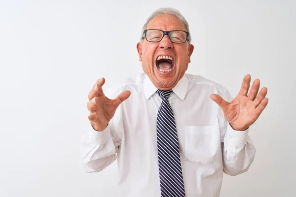 Senior Grey Haired Businessman Wearing Tie Glasses Isolated White Background — Stock Photo, Image