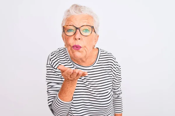 Senior Mujer Pelo Gris Con Rayas Color Azul Marino Gafas — Foto de Stock