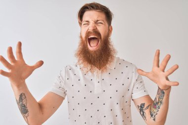 Genç kızıl saçlı, polo giyen, izole edilmiş beyaz arka planda duran, çılgın ve başarıyı kutlayan, kollarını kaldırmış ve gözleri kapalı, heyecanlı bir şekilde çığlık atan genç bir İrlandalı. Kazanan konsept