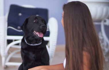 Terasta genç ve güzel bir kadın siyah labrador köpeğiyle oynuyor.