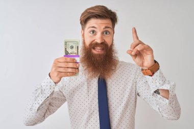 Genç kızıl İrlandalı işadamı izole beyaz arka plan üzerinde duran dolar tutan mutlu yüz, bir numara ile bir fikir veya soru işaret parmağı ile şaşırttı