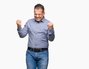 Gülümseyen ve başarı için çığlık orta yaş Arap iş adamı izole arka plan çok mutlu ve heyecanlı kaldırdı, silah ile kazanan jest yapıyor üzerinde. Kutlama kavramı.