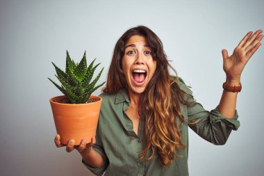 Genç ve güzel bir kadın, beyaz izole edilmiş arka planda kaktüs tenceresi tutuyor. Çok mutlu ve heyecanlı. Kazanan ifade zaferi kutluyor.