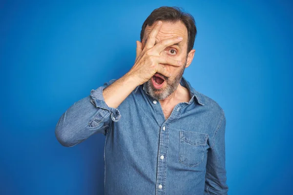 Bello Uomo Anziano Mezza Età Con Capelli Grigi Isolato Sfondo — Foto Stock