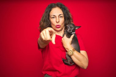 Orta yaşlı bir kadın elinde sevimli bir chihuahua köpeğiyle kırmızı izole arka planda kamerayı işaret ediyor ve sen, el işareti, ön taraftan pozitif ve kendinden emin bir hareket.