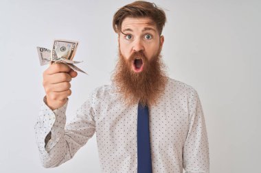 Genç kızıl İrlandalı işadamı izole beyaz arka plan üzerinde duran dolar tutan sürpriz bir yüz ile şok korkmuş, korku ifade korku ve heyecanlı