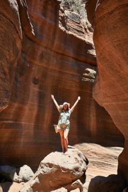 Genç Beauitufl yürüyüşçüsü kadın yaz tatilini kutlayan kollarıyla turuncu dağda yürüyor.