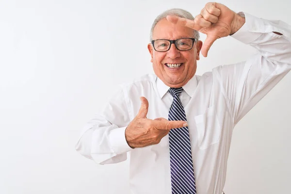 Homme Affaires Sénior Aux Cheveux Gris Portant Cravate Lunettes Sur — Photo