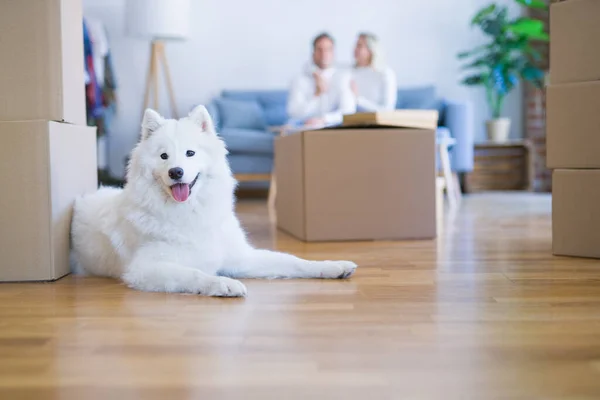 Jonge Mooie Paar Met Hond Zittend Bank Nieuw Huis Rond — Stockfoto