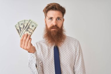 Genç kızıl saçlı İrlandalı işadamı, izole edilmiş beyaz arka planda dolarlar tutuyor. Akıllı bir yüz ifadesiyle ciddi ciddi düşünüyor.