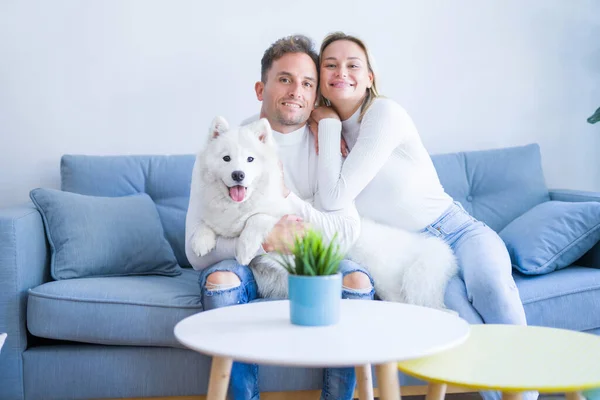 Joven Hermosa Pareja Con Perro Sentado Sofá Nuevo Hogar Alrededor —  Fotos de Stock