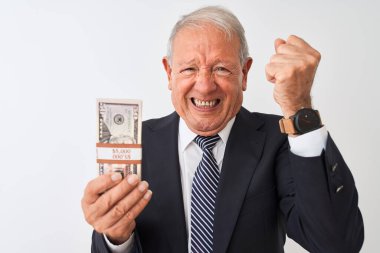 Gri saçlı kıdemli işadamı, elinde dolarlarla soyutlanmış beyaz arka planda dolarlar tutarken sinirlendi ve sinirlendi. Öfkeyle bağırdı.