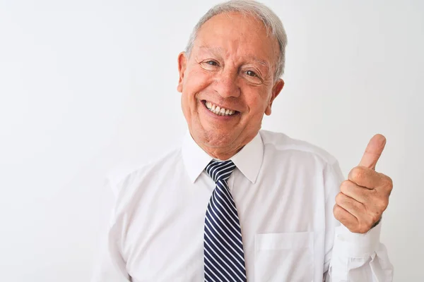 Homme Affaires Âgé Aux Cheveux Gris Portant Une Cravate Debout — Photo