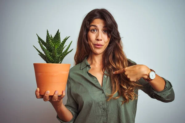 Giovane Bella Donna Possesso Vaso Cactus Sfondo Bianco Isolato Con — Foto Stock