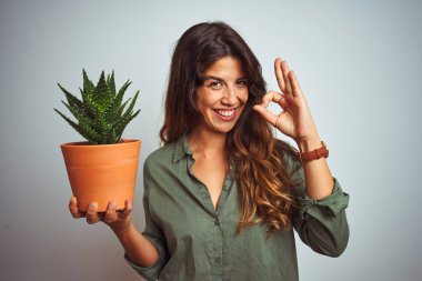 Kaktüs tenceresini beyaz izole arka planda tutan genç ve güzel bir kadın tamam işareti yapıyor, mükemmel bir sembol.