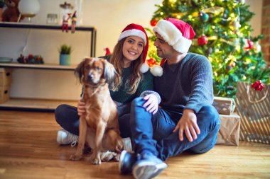 Mutlu ve kendinden emin gülümseyen genç bir çift. Yerde oturmuş Noel Baba şapkası takıyor Noel ağacının etrafında köpeğe sarılıyor.