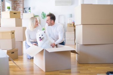 Karton kutular etrafında yeni evde yerde oturan köpek ile genç güzel çift