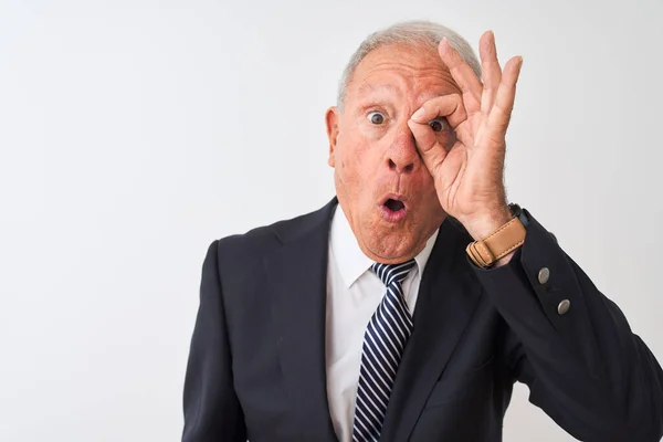 Senior Hombre Negocios Pelo Gris Con Traje Pie Sobre Fondo —  Fotos de Stock