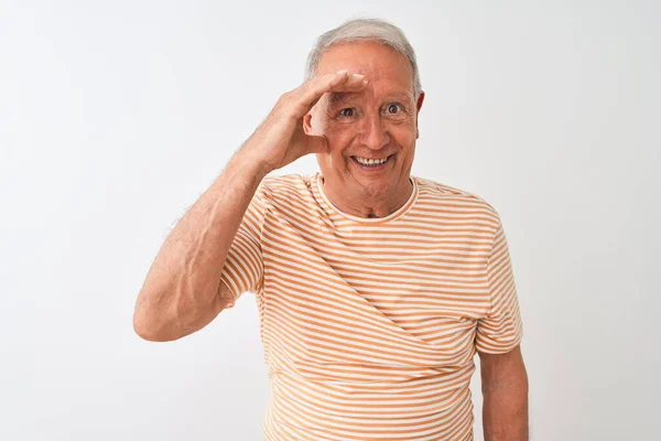 Senior Grauhaarige Mann Mit Gestreiftem Shirt Steht Über Isolierten Weißen — Stockfoto