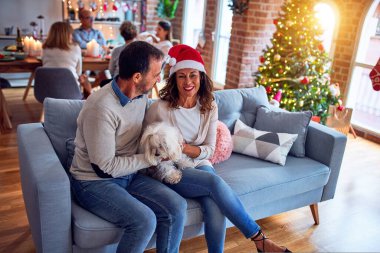 Aile ve arkadaşlar Noel arifesini evde geleneksel yemek ve dekorasyonla kutluyorlar. Çiftler kanepede köpeklerle sohbet ediyorlar.