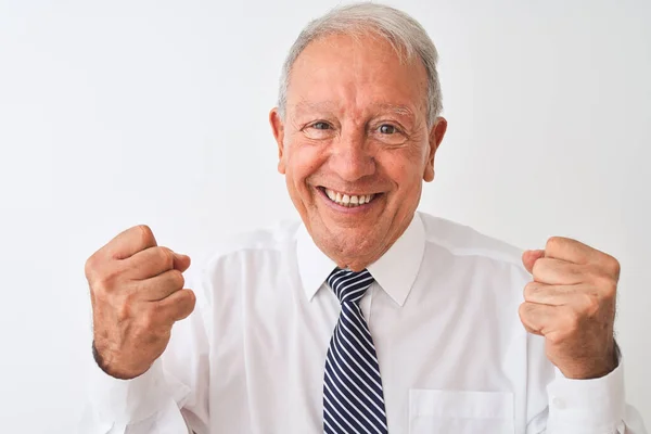 Starszy Siwowłosy Biznesmen Noszący Krawat Stojący Nad Odizolowanym Białym Tłem — Zdjęcie stockowe