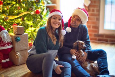 Mutlu ve kendinden emin gülümseyen genç bir çift. Yerde oturmuş Noel Baba şapkası takıyor Noel ağacının etrafında köpeğe sarılıyor.