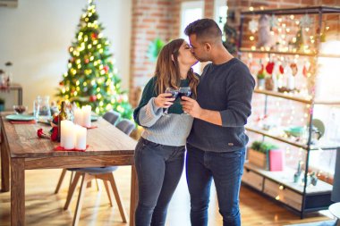 Mutlu ve kendinden emin gülümseyen genç bir çift. Bir bardak şarap ve öpücükle kadeh kaldırmak ve evde Noel 'i kutlamak.